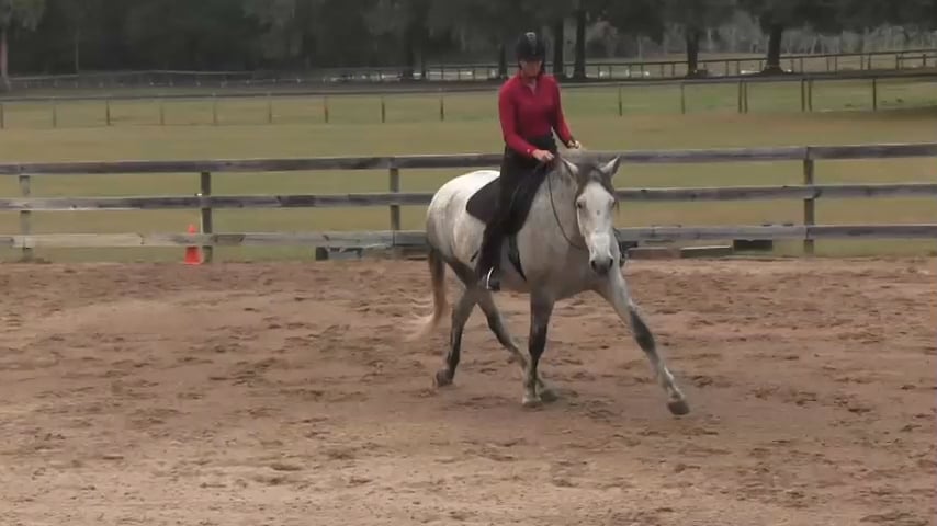 Balancing Impulsion Natilla - Bridleless - Feb 2015