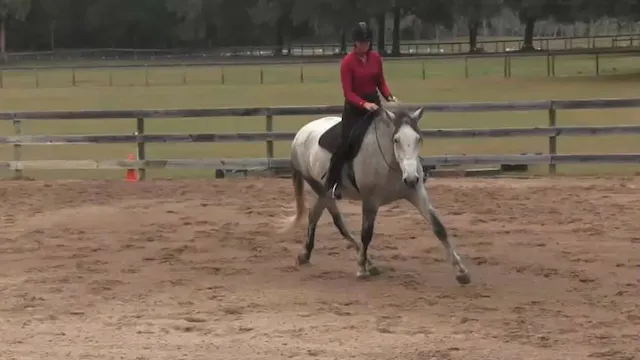 Balancing Impulsion Natilla - Bridlel...