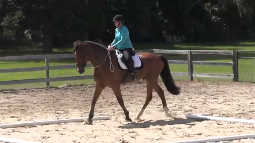 Counter-Steering For Basic Straightness - May 2018