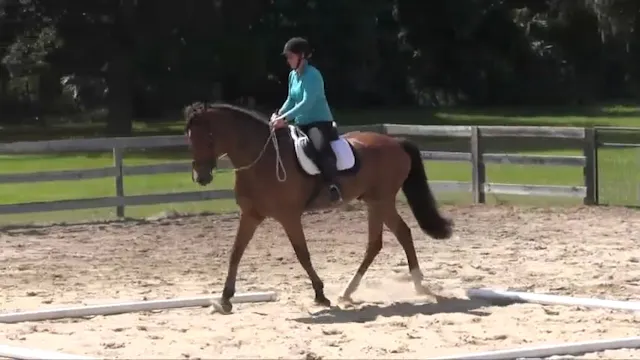 Counter-Steering For Basic Straightne...