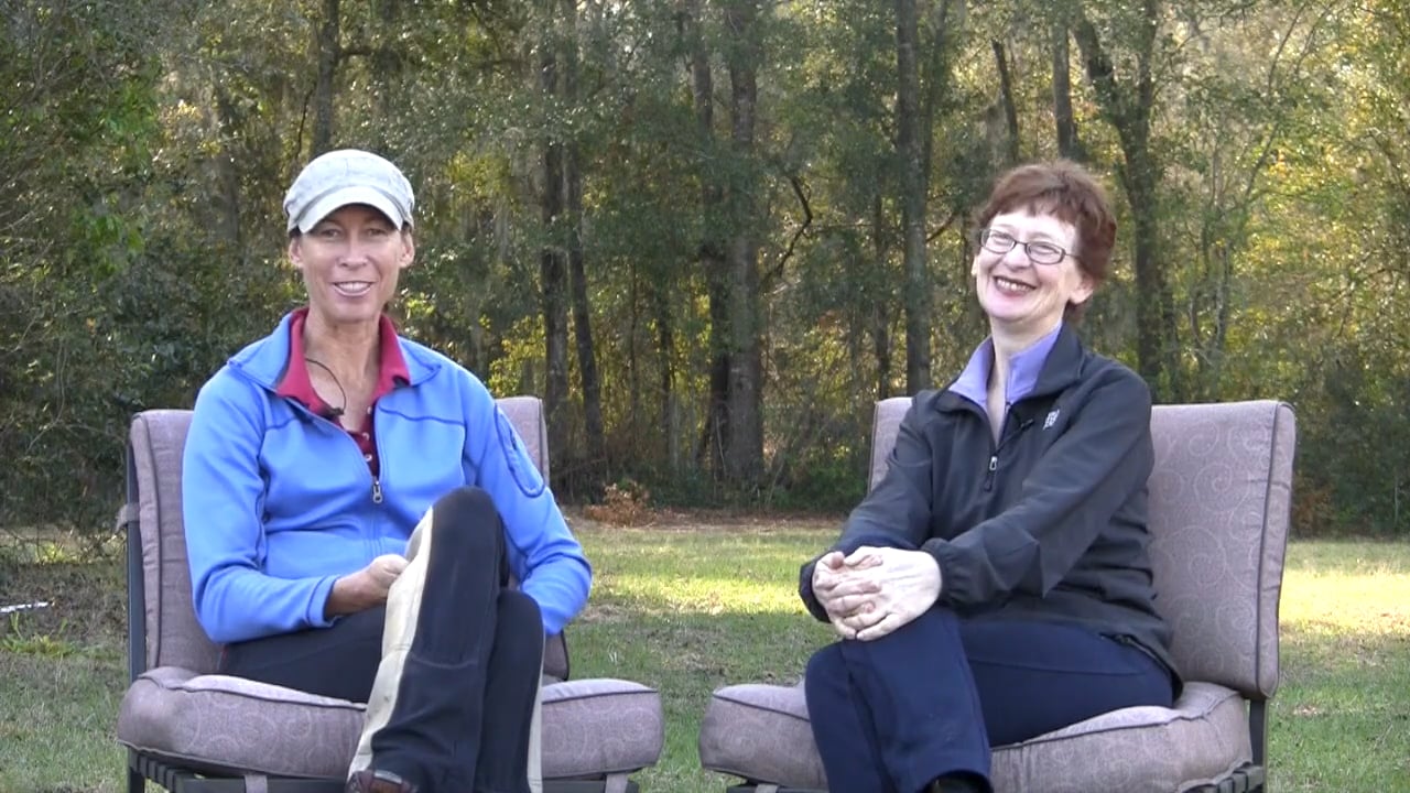 Cue System vs Power-Sharing Brenda Aloff - May 2013