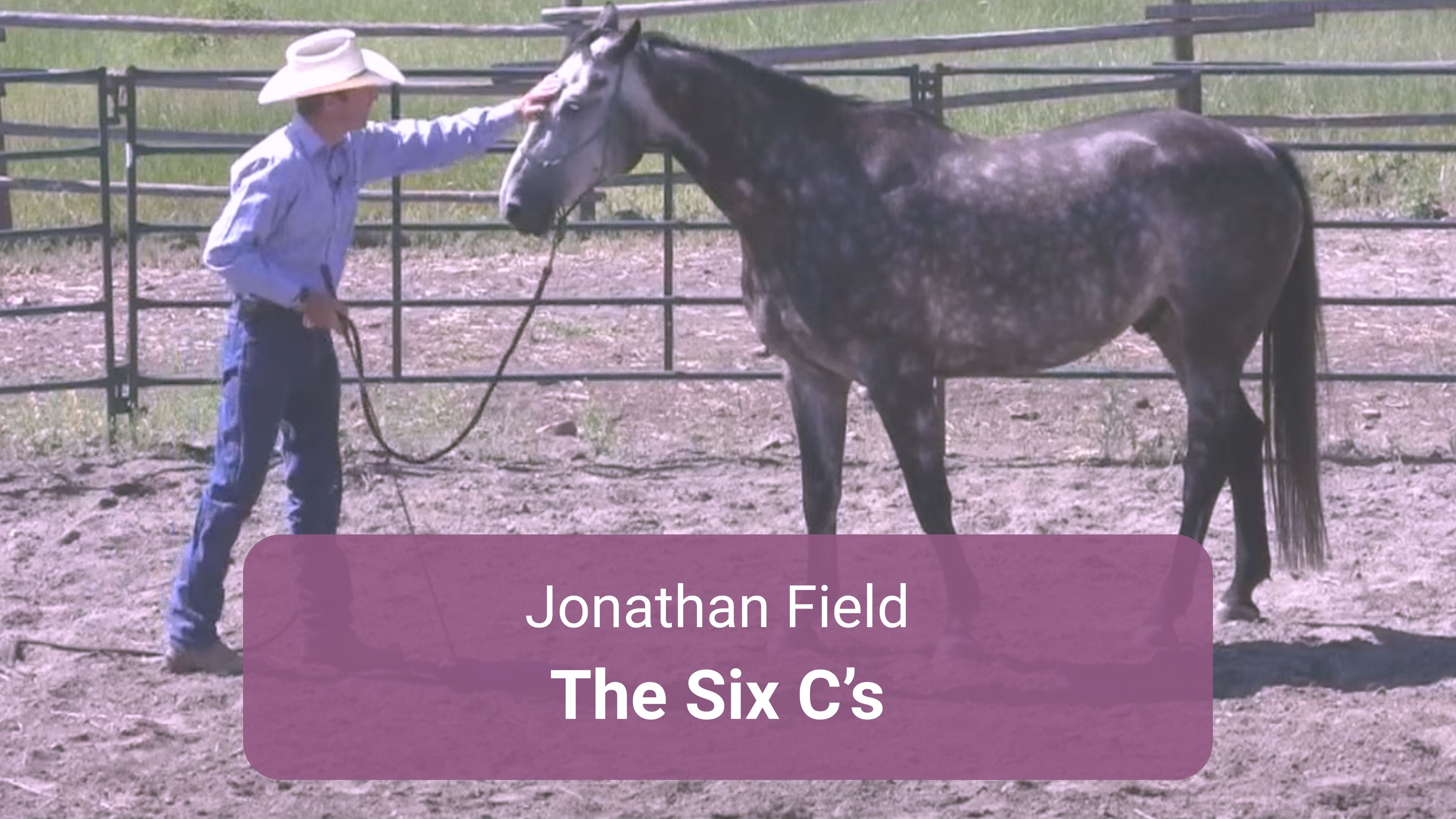 6 C's with Jonathan Field - Ground Work and Riding