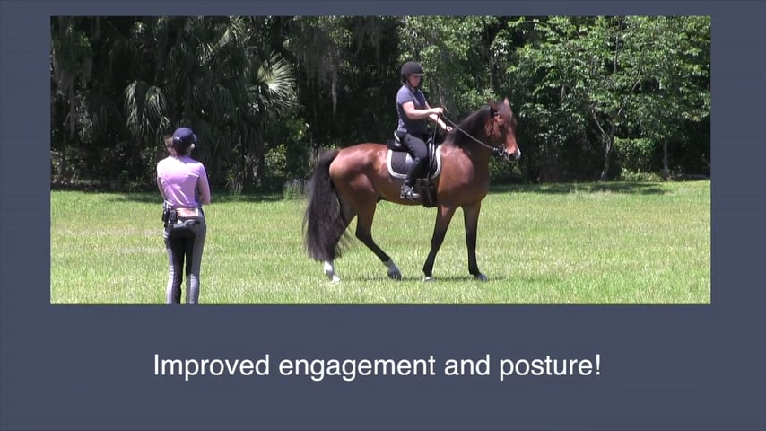 Learning Hindquarter Yields In Motion - June 2019