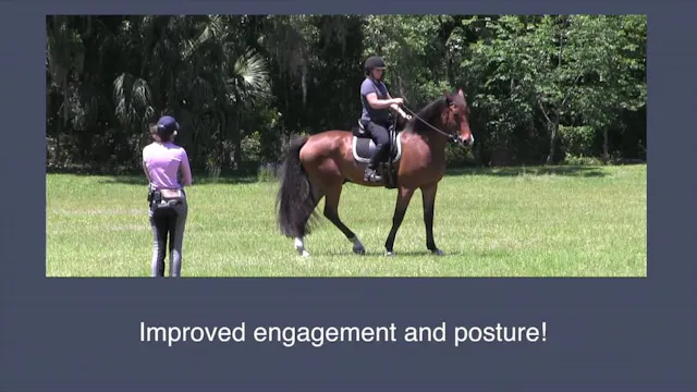 Learning Hindquarter Yields In Motion...