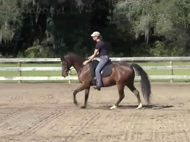 Riding through Tension - Atomic - Nov 2011
