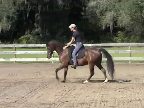 Riding through Tension - Atomic - Nov...