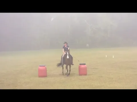 Counter Canter - Developing Confidenc...