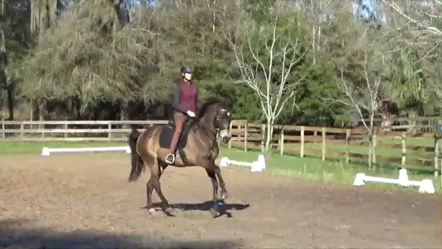 Narrated Ride Solana Advancing Collec...