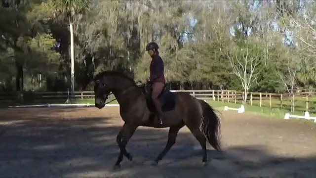 Training Tip: Re-approach vs Reinforc...