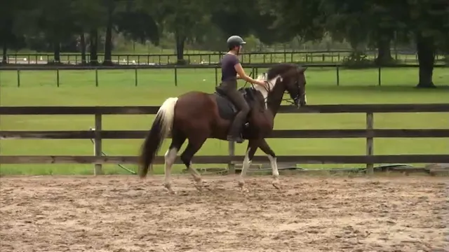 Ovation & Karen A Lesson with Jos Sev...