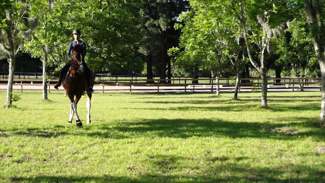 Hats Course Video 1-Vimeo for DNVC