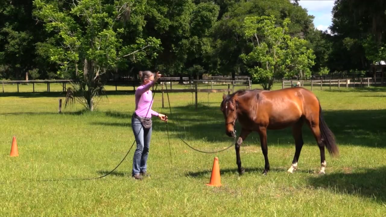 Exercise For Staying Out On Circles - June 2022