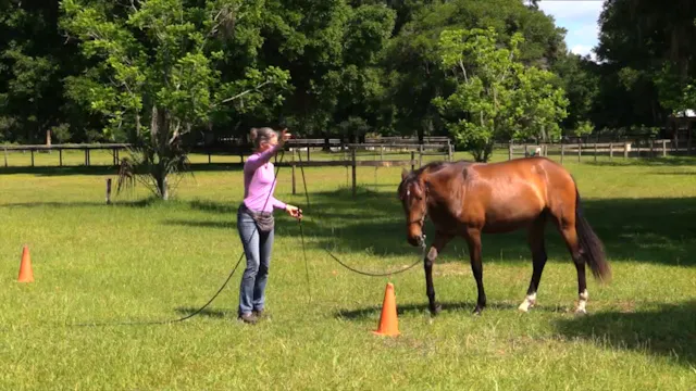 Exercise For Staying Out On Circles -...