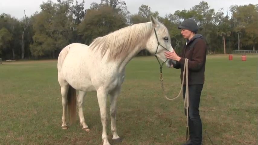 Poll Flexion Exercise from the Ground with Justyna Rucinska - Sep 2015