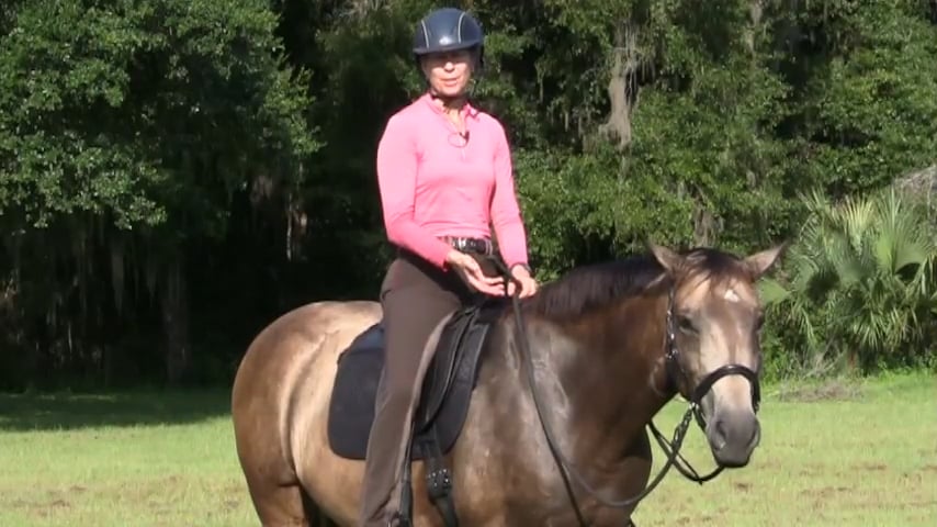 Two Types of Rein Shortening - Sep 2015