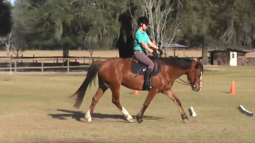 Use Self Carriage To Find Balance - Apr 2016