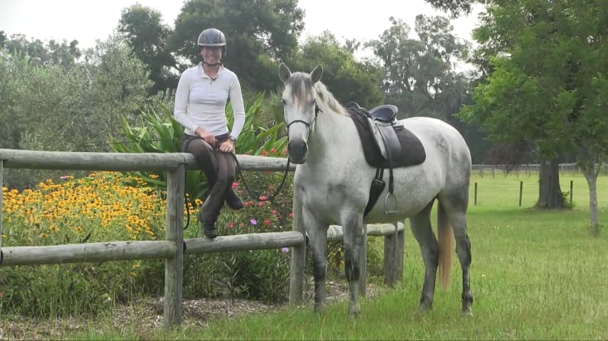 Happy Laps & Training Sets with Natilla - July 2015
