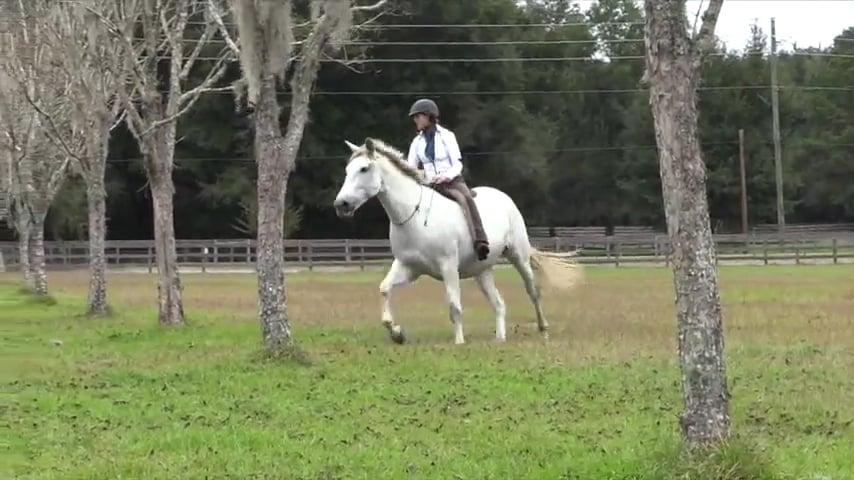Basic Riding With No Reins In The Open - Dec 2019