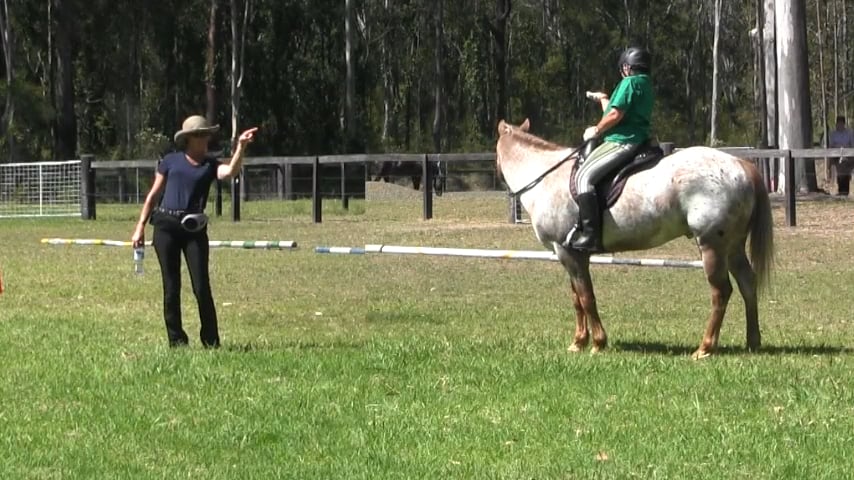 Collectibility Exercise: Walk - Canter - Walk Transitions - Dec 2014