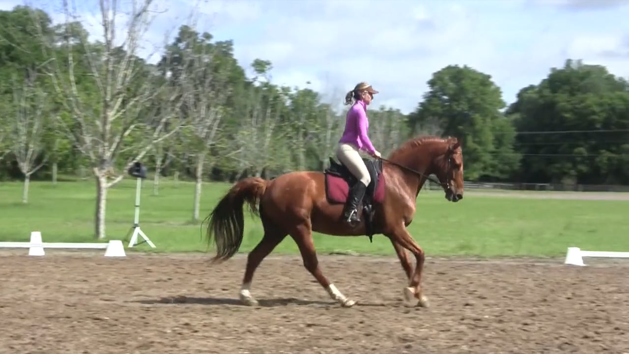 Quick Tip For Counter Canter Shawna and Jaxon - June 2013