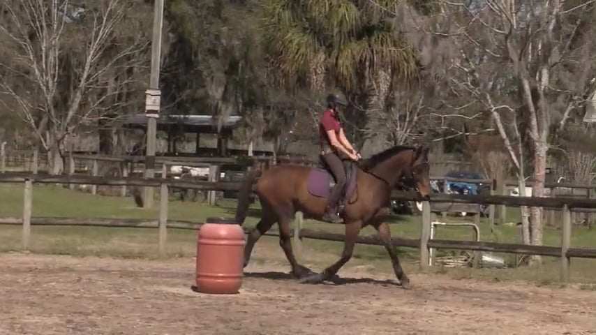 Teo Progress Report Riding - Mar 2021