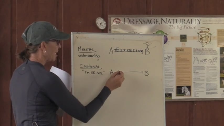 Mental vs Emotional vs Physical Strategies - May 2021