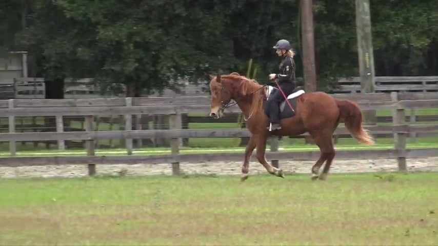 Creating Self Carriage At The Canter - Dec 2019