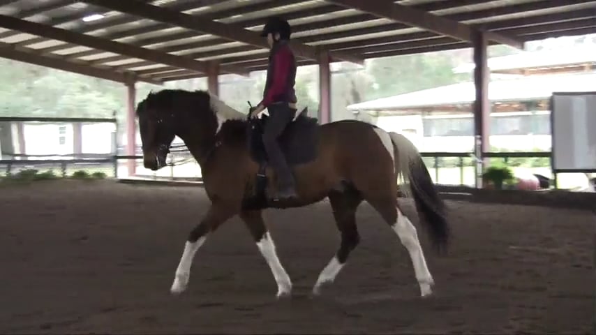 Precision and Play Presentation - Ovation - April 2017