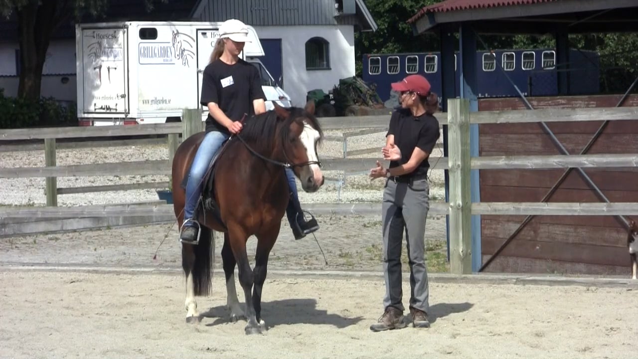 Beginning the Basic Alignment Exercise Riding - October 2012