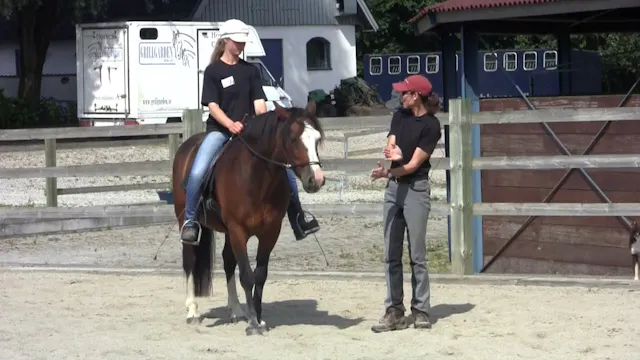 Beginning the Basic Alignment Exercis...