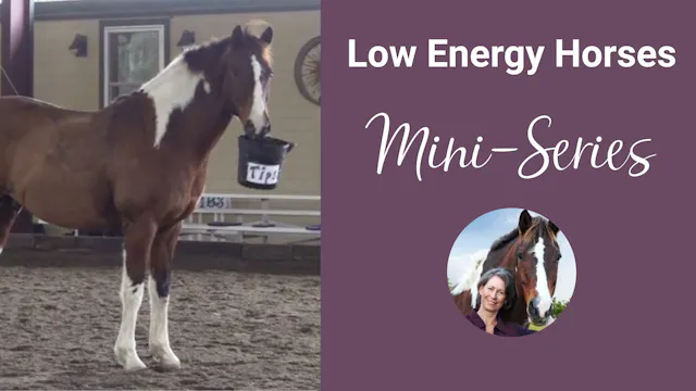 Low Energy