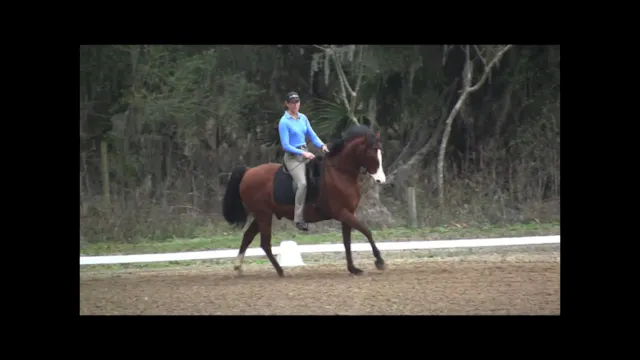 Flying Changes with Jedi - March 2012