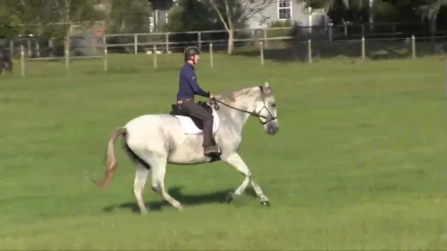 Variations on a Theme - Lengthen & Sh...