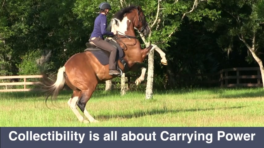 Collectibility Box Creating Energy, Anticipation, & Morivation - March 2019
