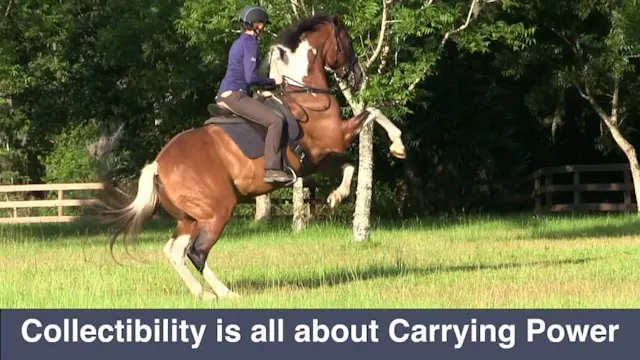 Collectibility Box Creating Energy, A...
