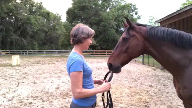 Bridling in Partnership with Victor -...