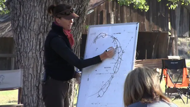 Bend: Alignment on Circle Discussion ...