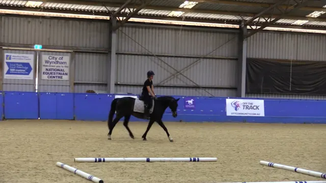 Relaxation & Trust While Riding - Nov...