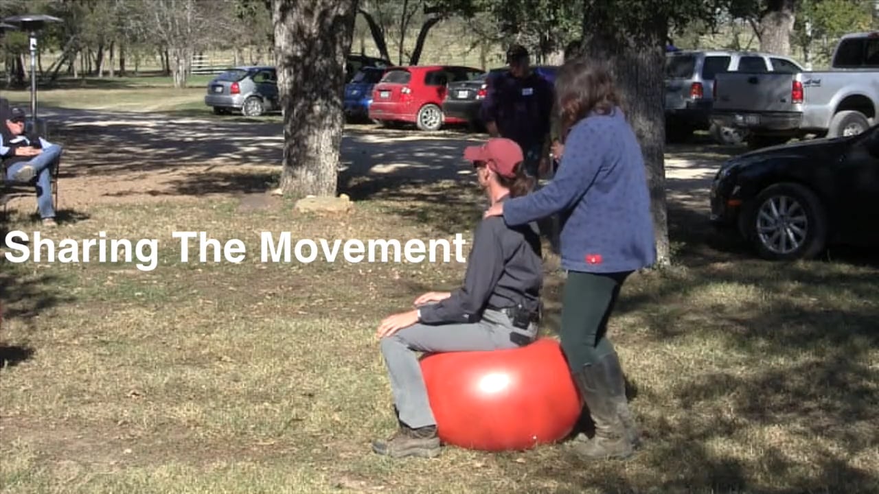 Sharing The Movement - A Simulation with Exercise Balls - Dec 2012