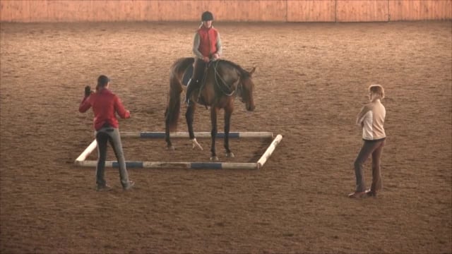 Foundational Self Carriage, Balance & Connection - July 2014
