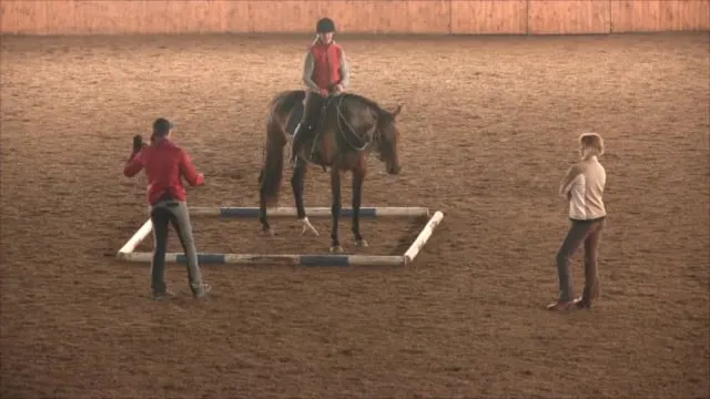 Foundational Self Carriage, Balance &...