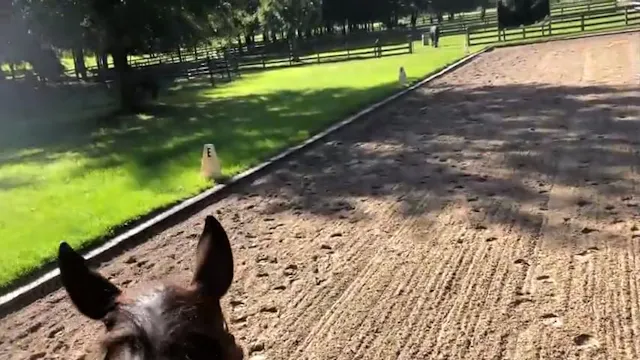 Rider's Eye View of Accurate on Circl...