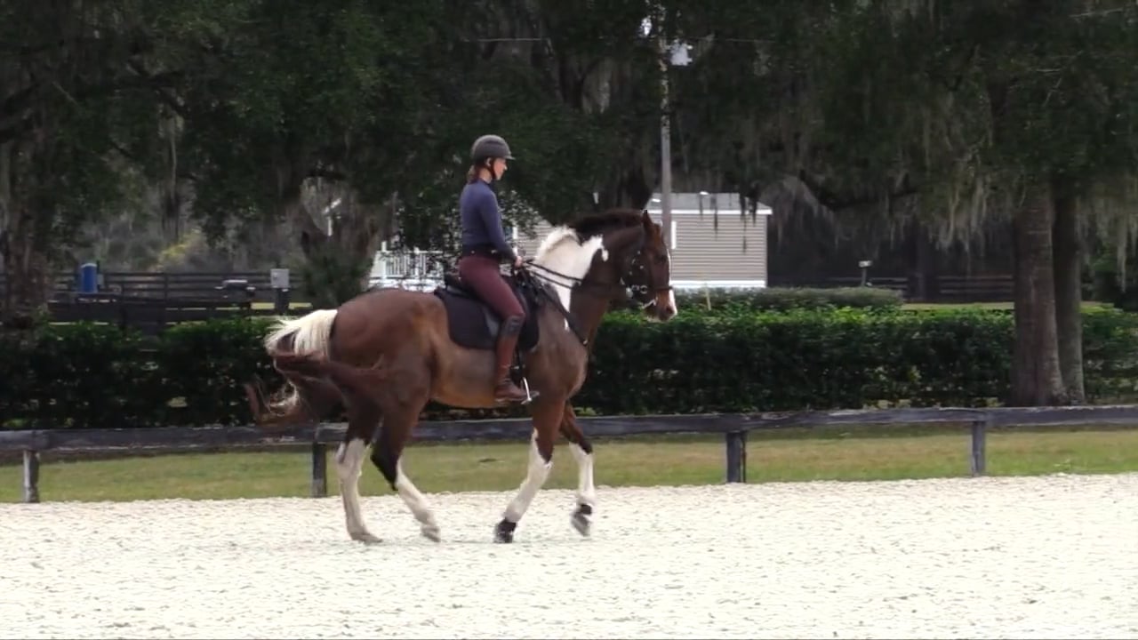 Lesson with Luis Lucio Pirouettes with Ovation - Feb 2022