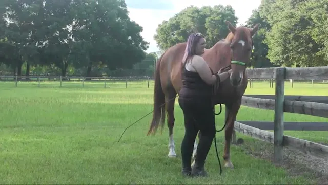 Haunches in From The Ground - July 2015