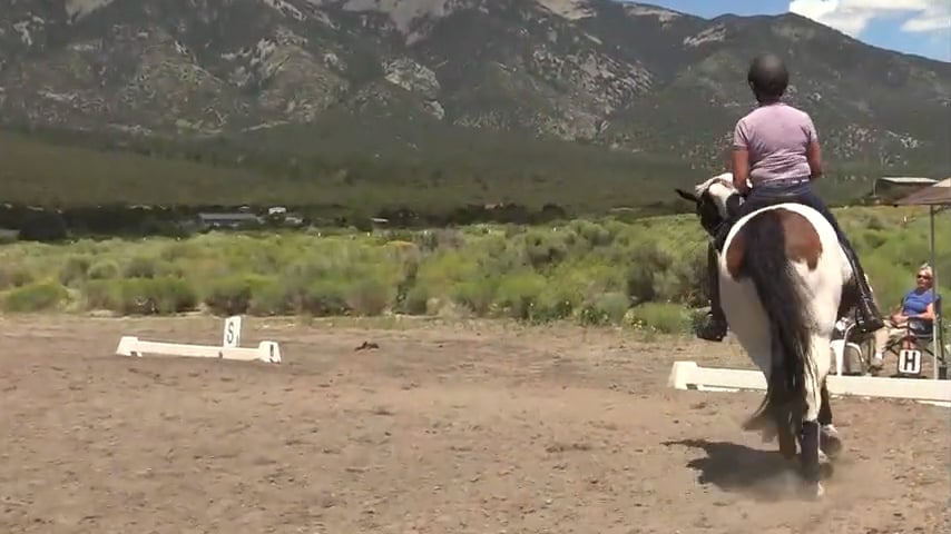Corners and Transitions To Lighten Forehand - Oct 2019