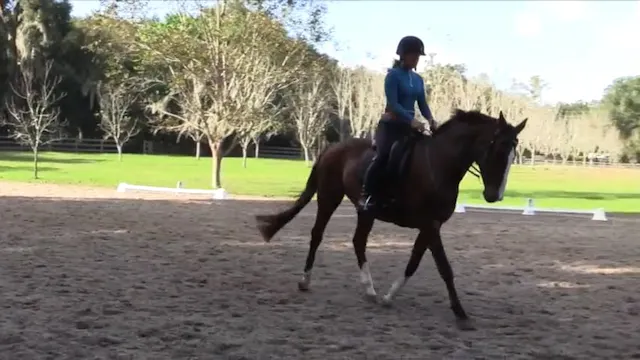 2 Ways To Ride A Serpentine - Develop...