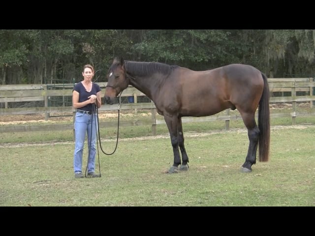 Establishing Rapport with Duncan - February 2011