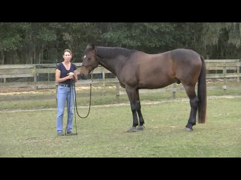 Establishing Rapport with Duncan - Fe...