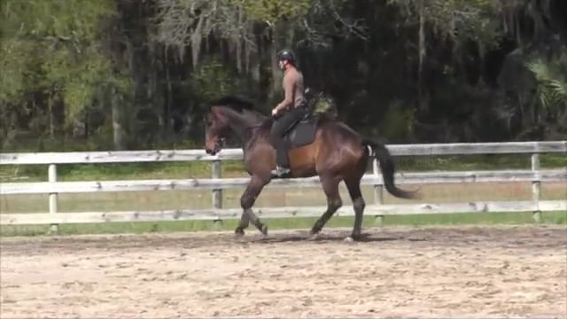 Hot Shot Progress Report  1 - Apr 2014