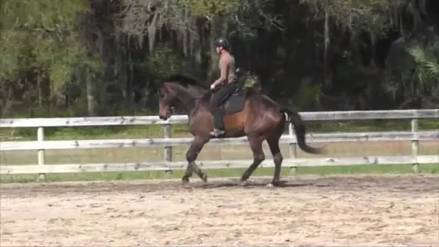 Hot Shot Progress Report  1 - Apr 2014